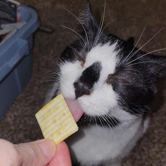 Clothing - Picture 8 of 12